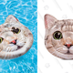 Intex Cat Face Inflatable Island | $15 | Amazon